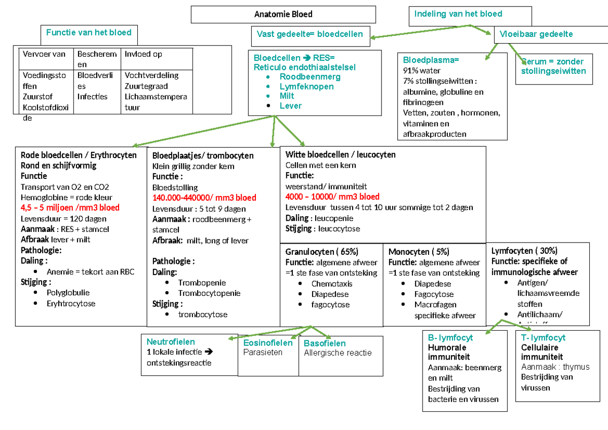 Schema anatomie bloed - Anatomie Bloed Functie van het bloed Indeling