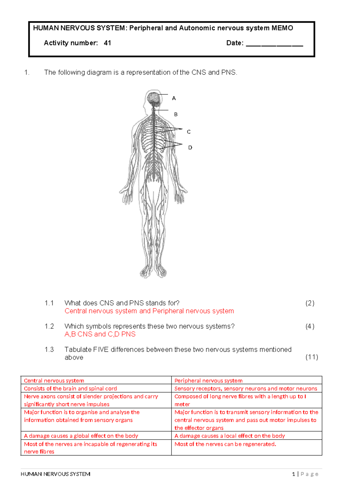 Activity 41 Pheripheral and Autonomic system MEMO - 1. The following ...