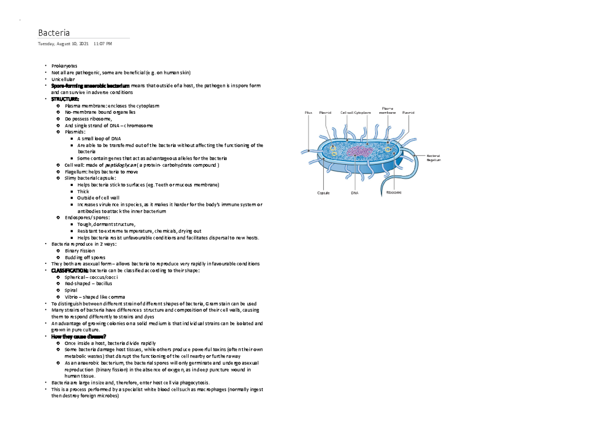 Biology 3 - practice stuff - Bacteria Tuesday, August 10, 2021 11:07 PM ...