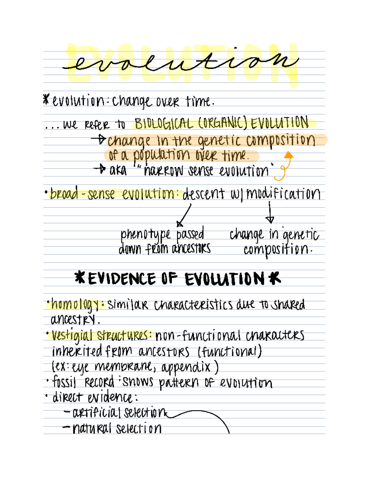 EXAM 1 Evolution - ####### evolution evolution changeover time We refer ...