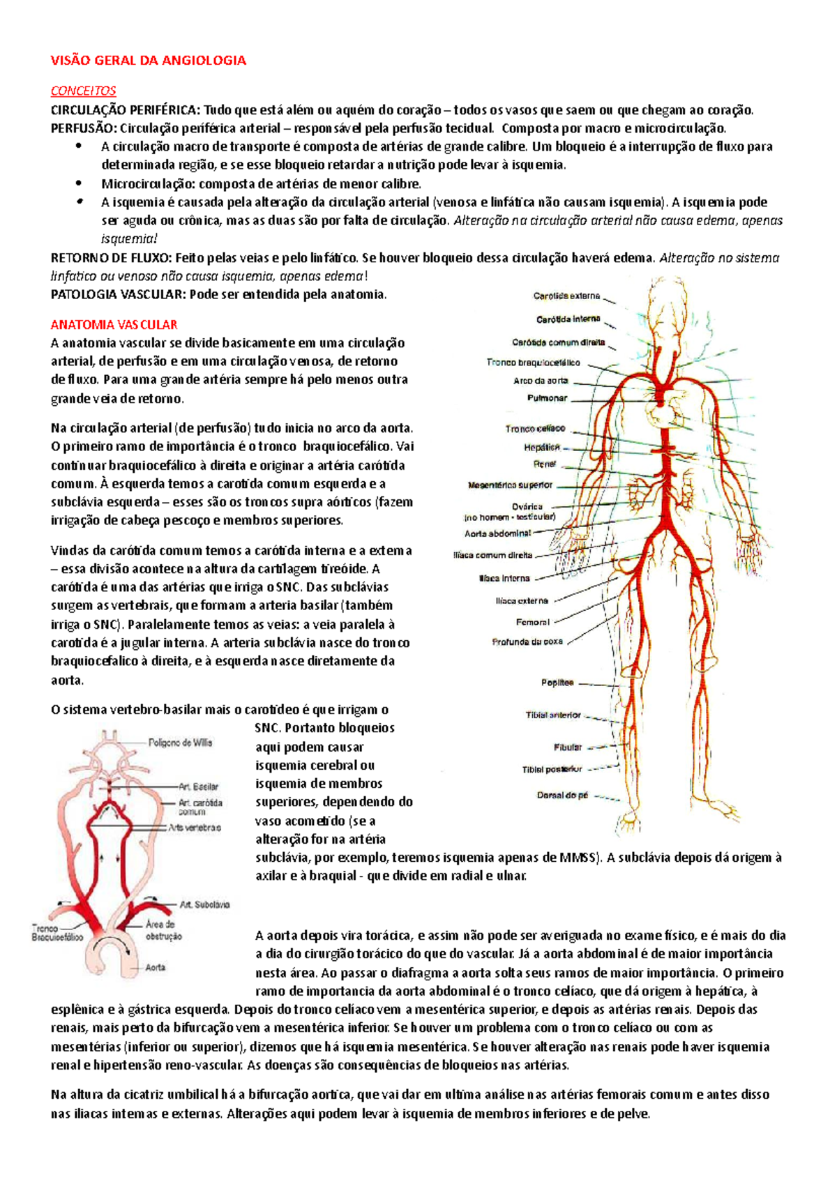 Vis o Geral DA Angiologia VIS O GERAL DA ANGIOLOGIA CONCEITOS 