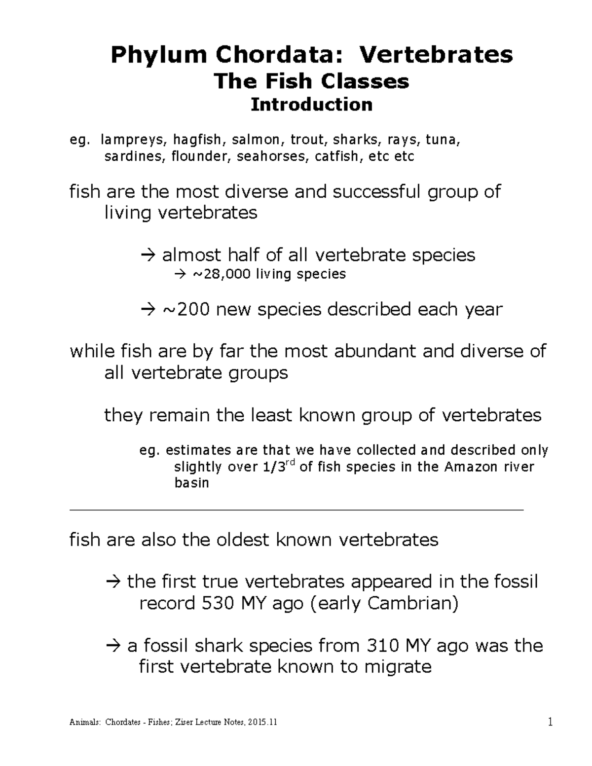 Phylum ChordataFishes Phylum Chordata Vertebrates The Fish Classes