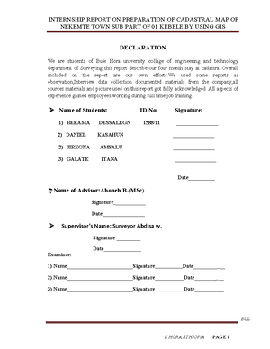 Fikadu D Finall Interniship 123432 - i 2023 Declaration Internship ...