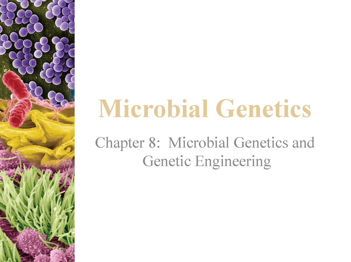 10-11Microbial Genetics 21-1 - Microbial Genetics Chapter 8: Microbial ...