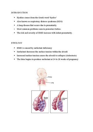 Toaz - Practical CSEC labs - EXCELSIOR COMMUNITY COLLEGE SCHOOL OF ...