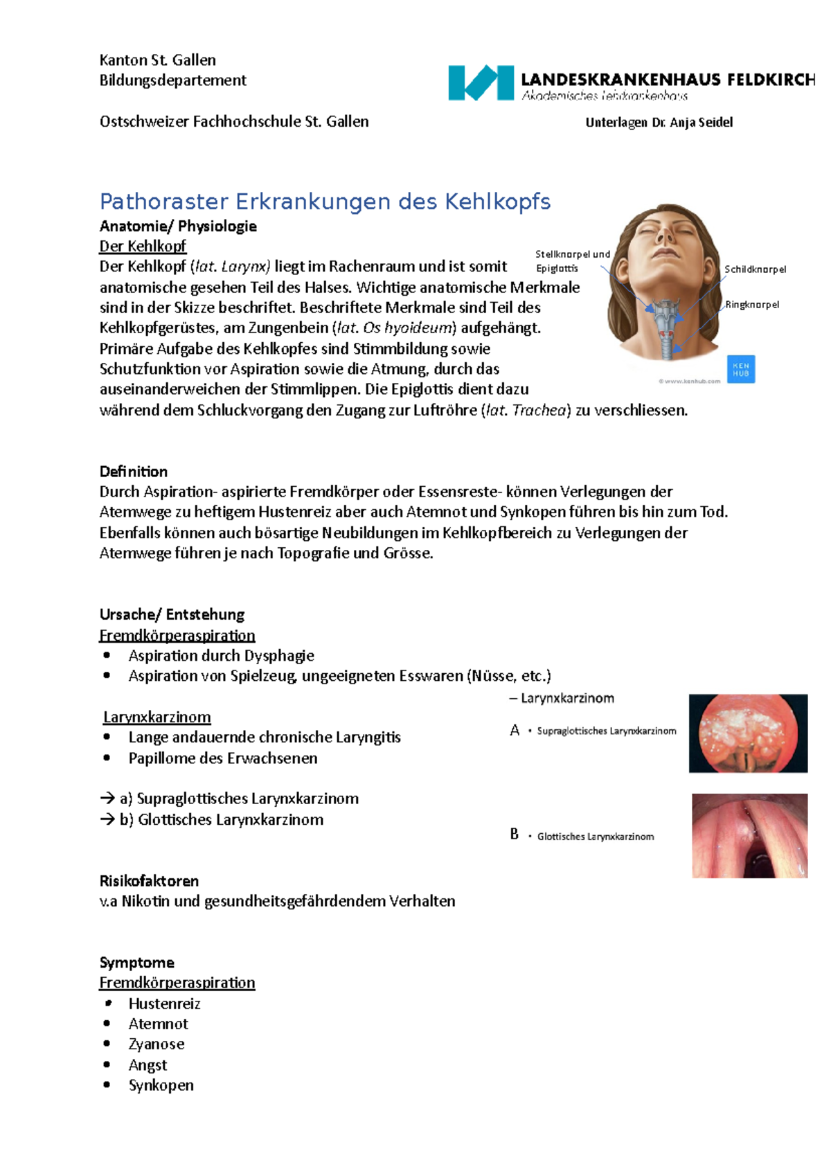 Pathoraster Erkankungen des Kehlkopfes (Akut vs. chronisch) - Kanton St ...