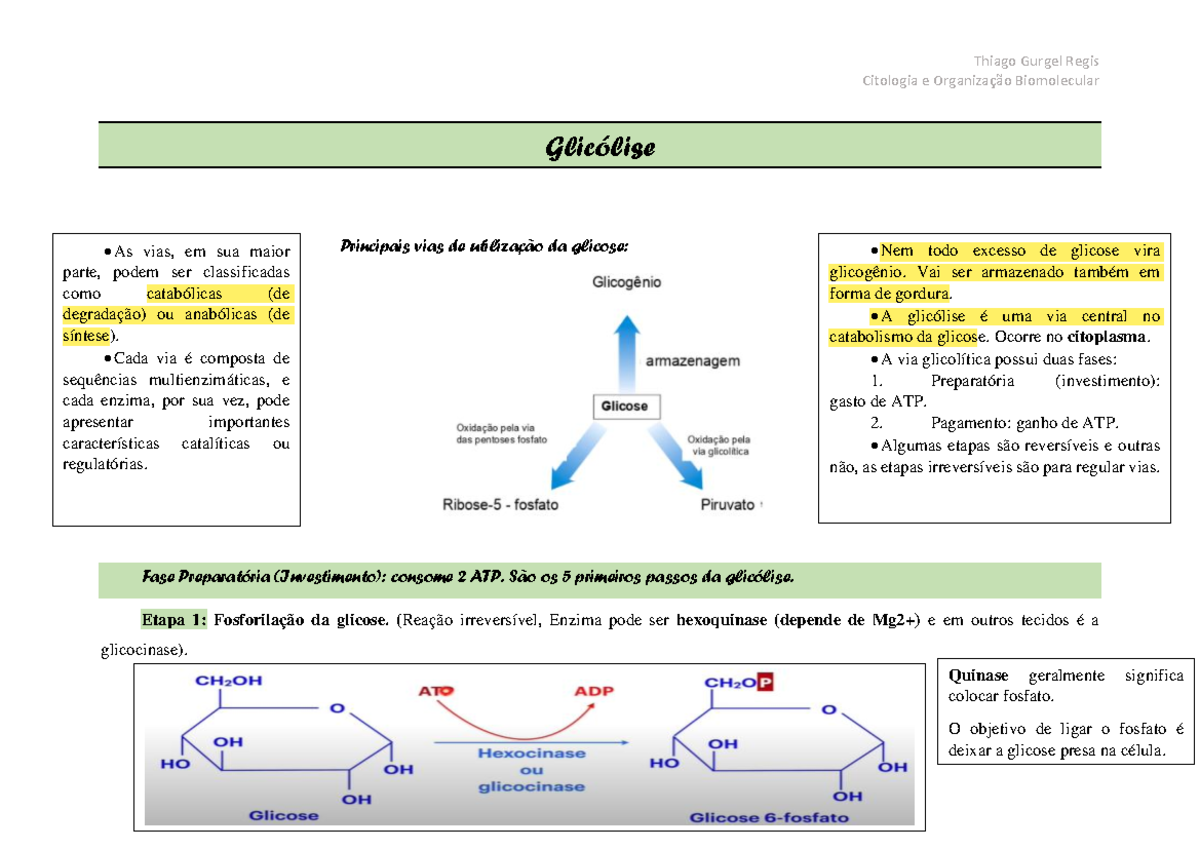 Glicólise - Citologia e Organização Biomolecular Glicólise Principais ...
