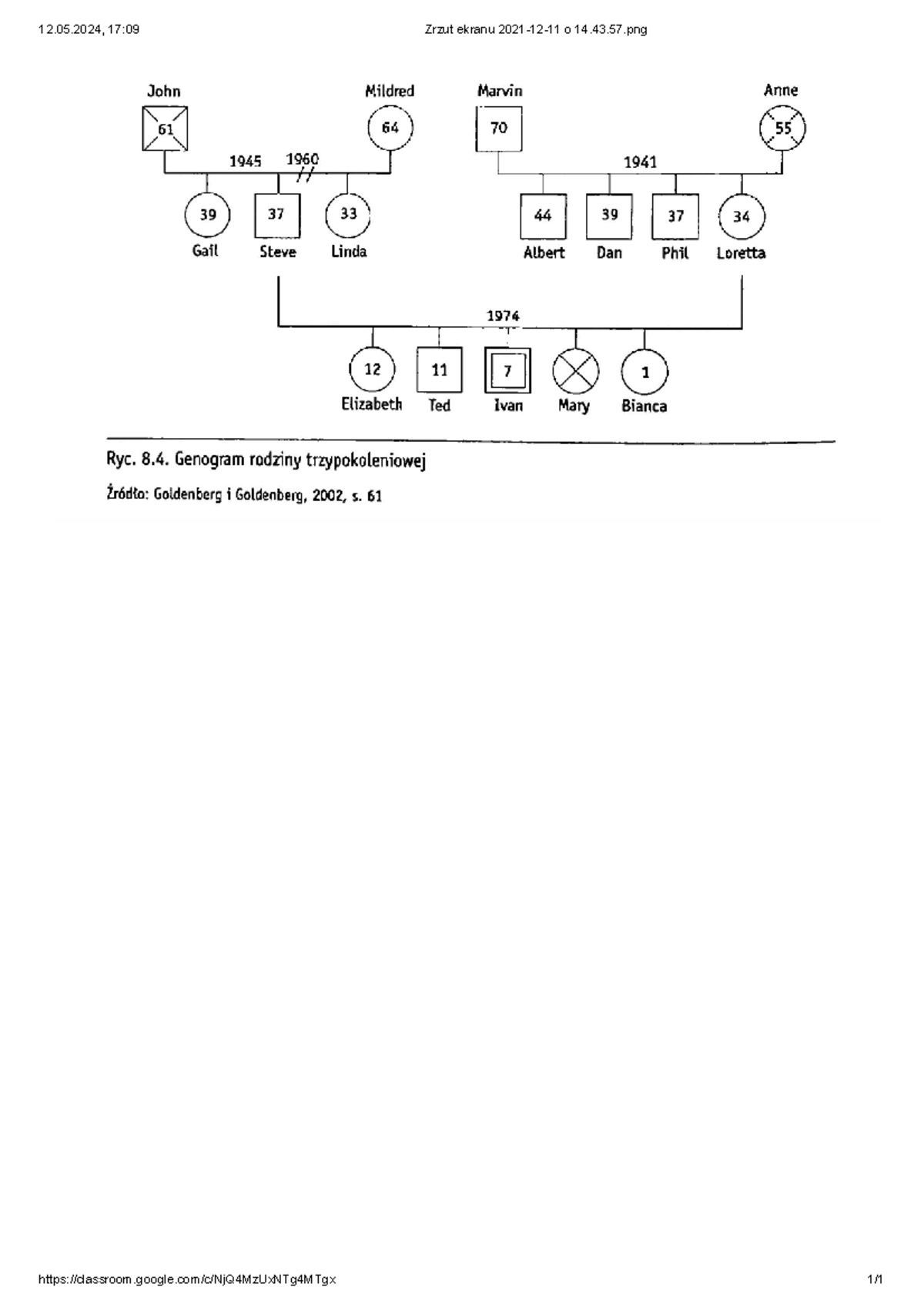 Genogram rodziny trzypokoleniowej - 12.05, 17:09 Zrzut ekranu 2021-12 ...