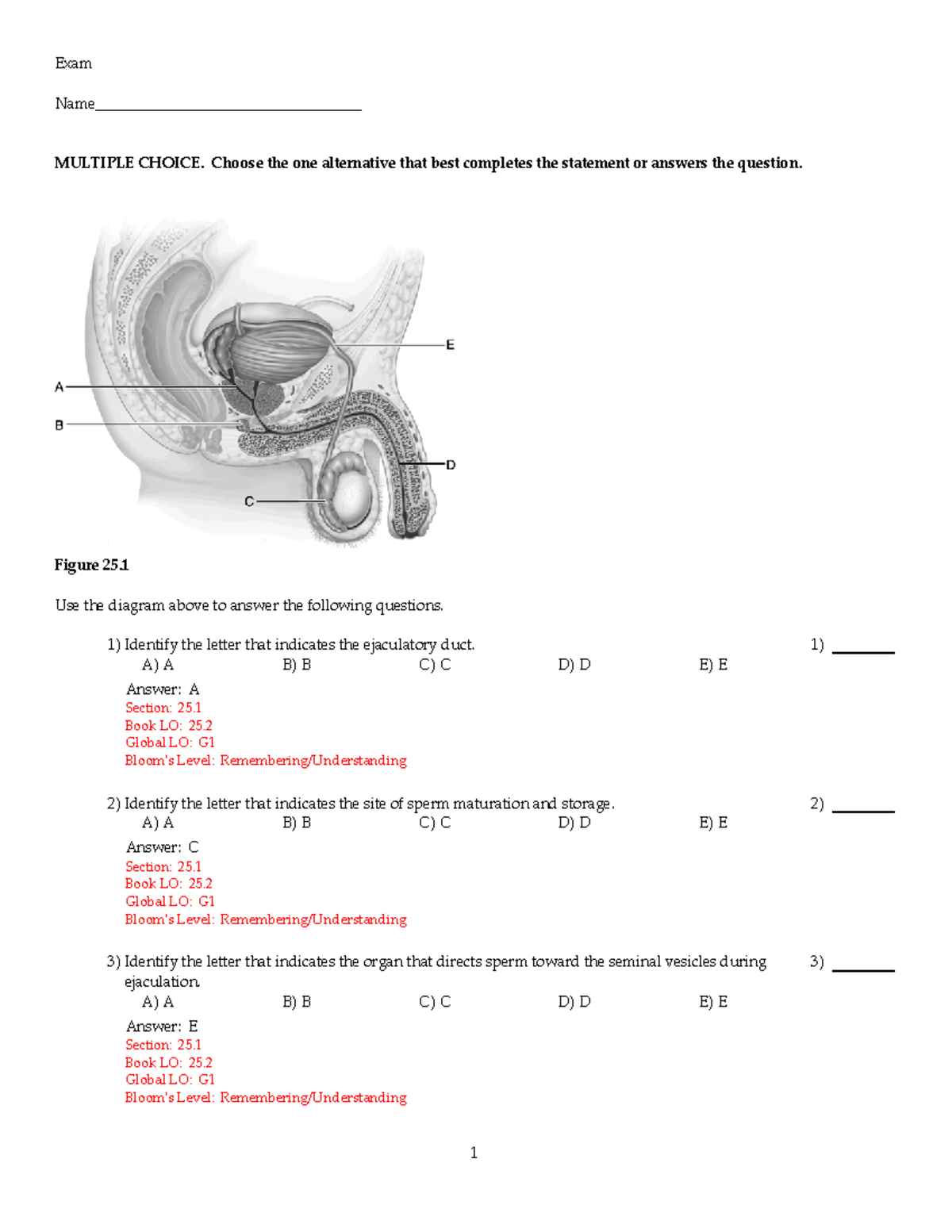 Chapter 25 Marieb 8e - Exam Name ...