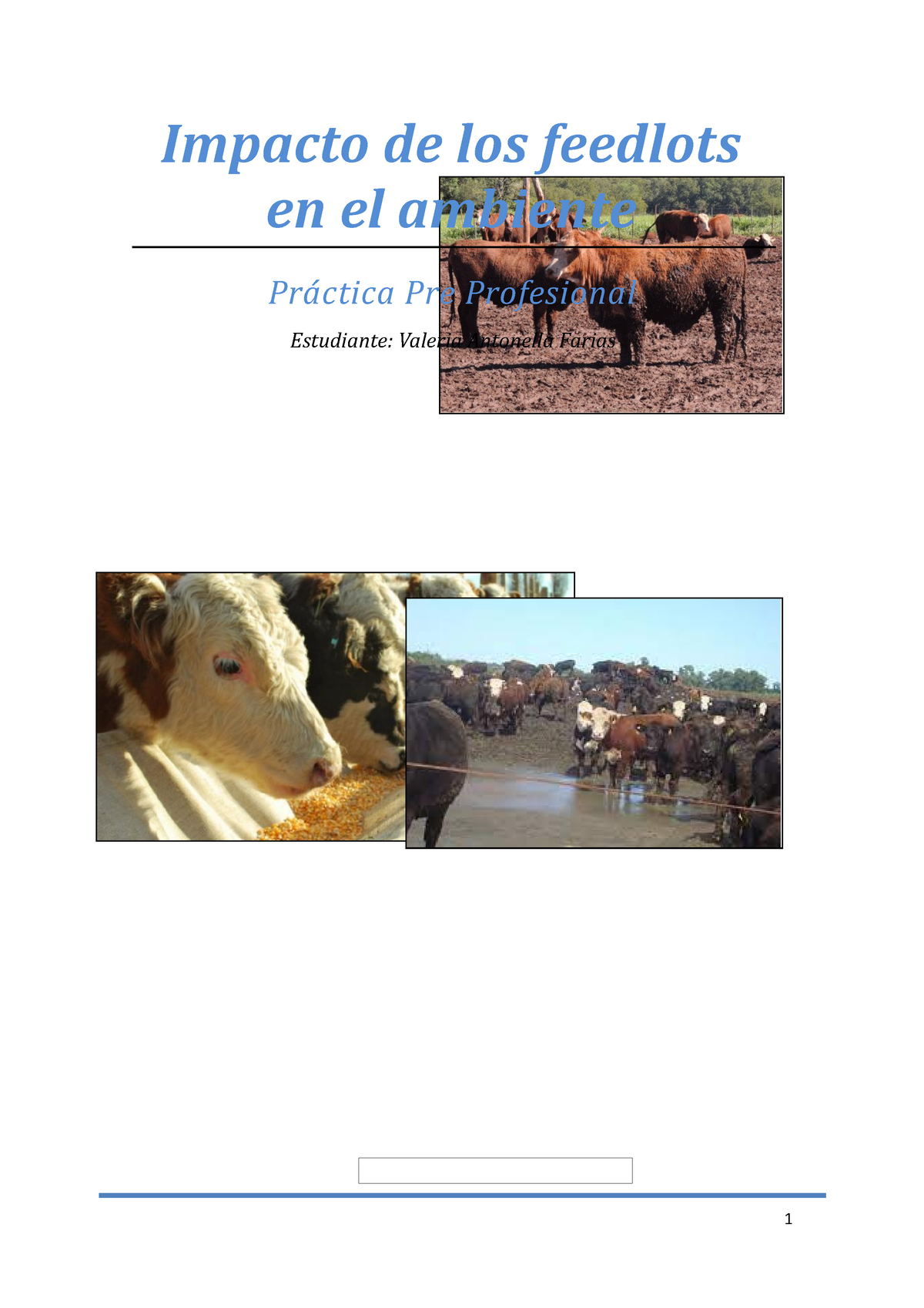 impacto-de-los-feedlots-impacto-de-los-feedlots-en-el-ambiente