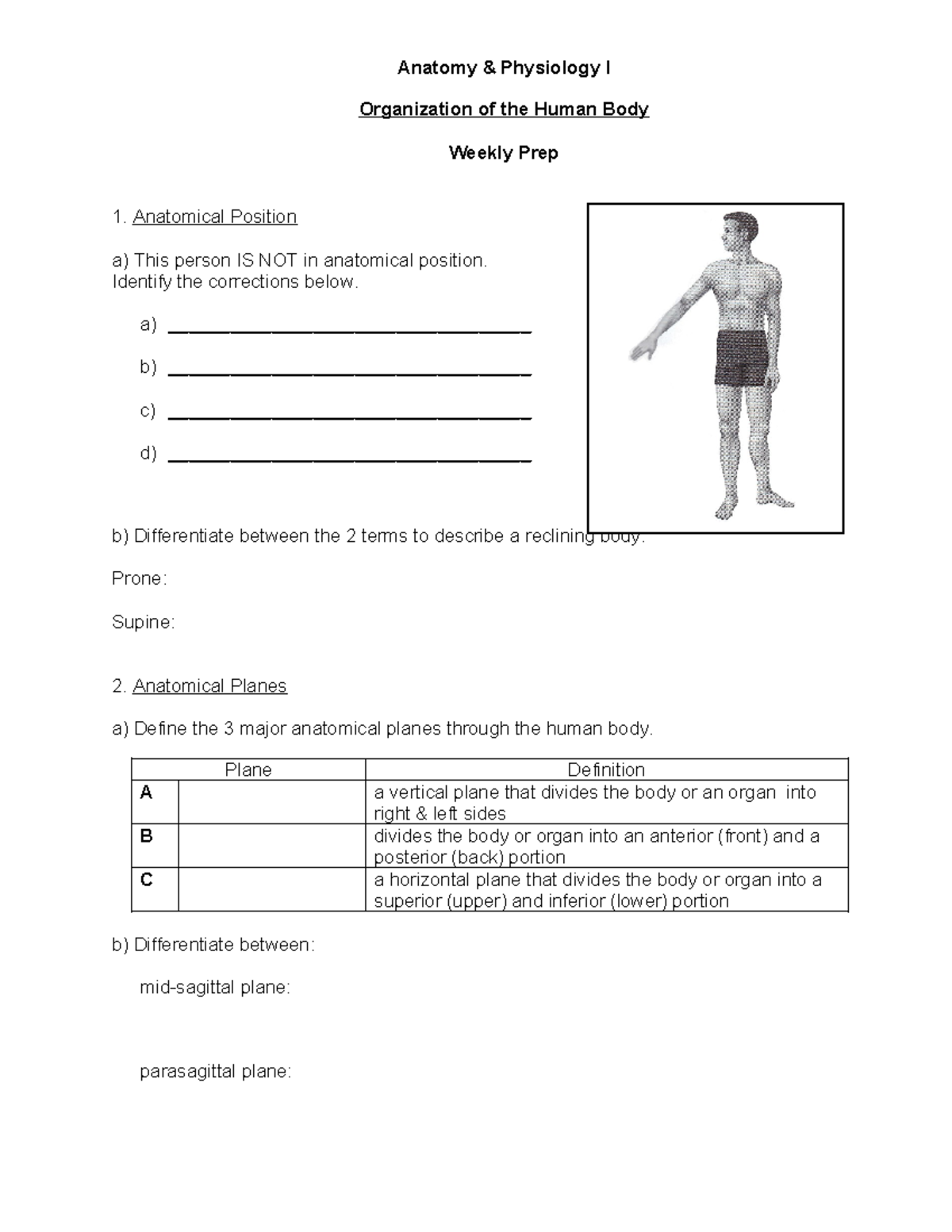 Lab Prep- Organization of the Human Body - Anatomy & Physiology I ...