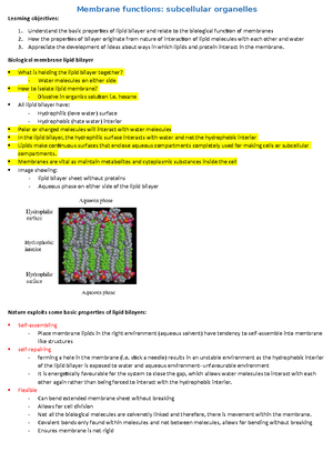 295327-biochemistry - Questions - BIOLOGY B (ADVBANCING BIOLOGY ...