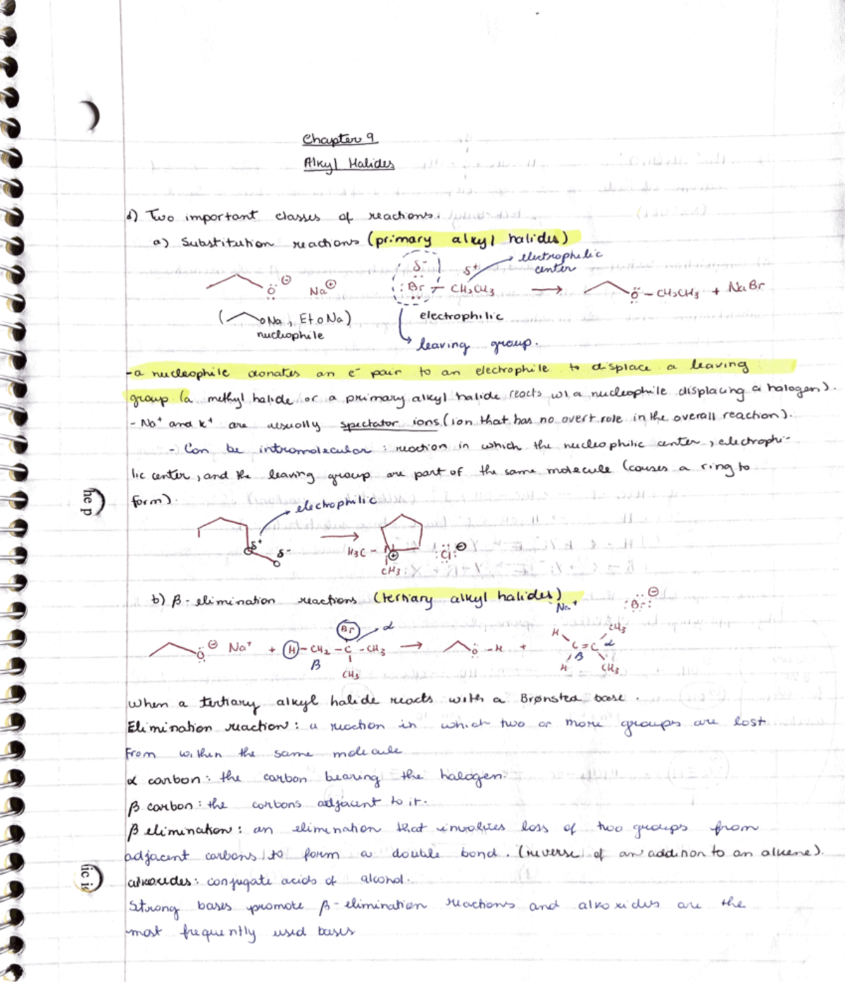 Chapter 9 Notes - Alkyl Halides - CHEM 231 - Studocu