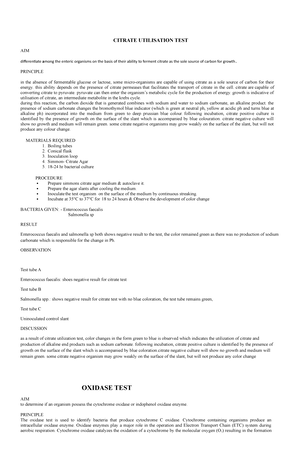 CATA - CATALASE TEST, PRINCIPLE,RESULT ,CARBOHYDRATE TEST FERMENTATION ...