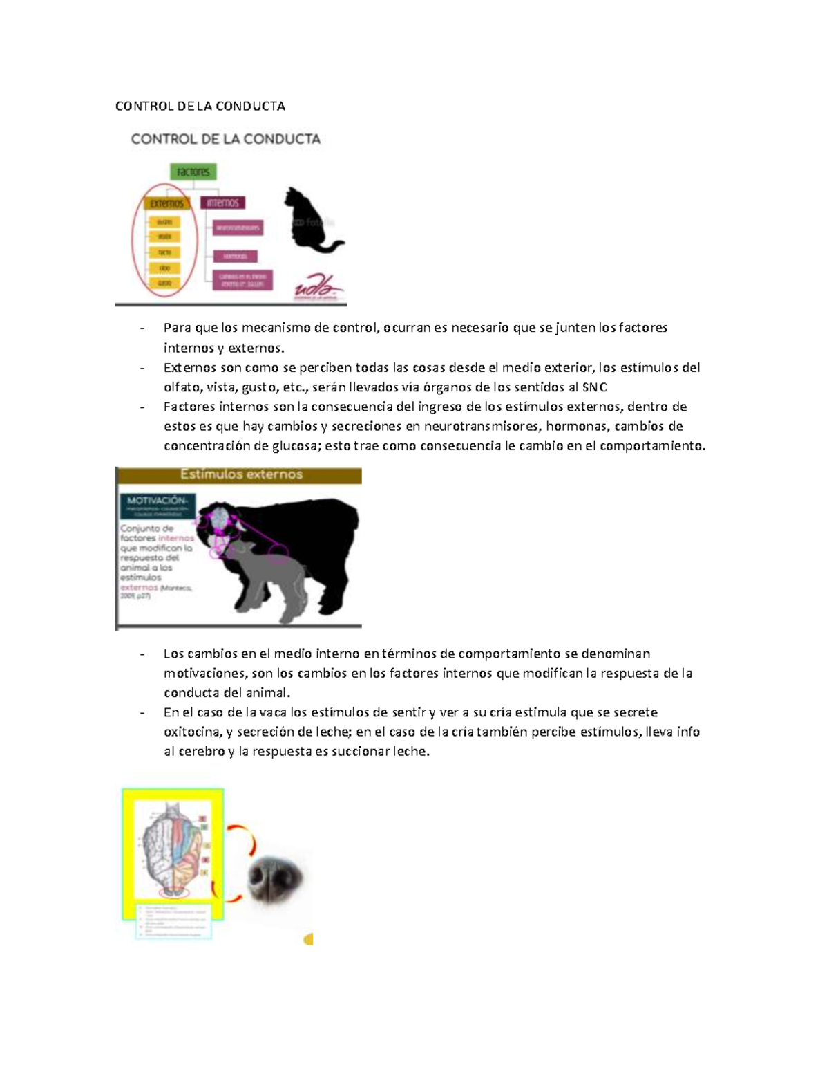 Control DE LA Conducta - mskdjasjiedijwi - CONTROL DE LA CONDUCTA Para ...