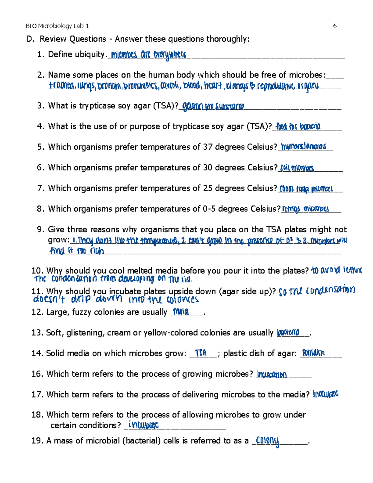 Micro Lab 1 Bio Microbiology Lab 1 6 D Review Questions Answer Micro Lab 1 Bio Microbiology Lab 1 6 D Review Questions Answer