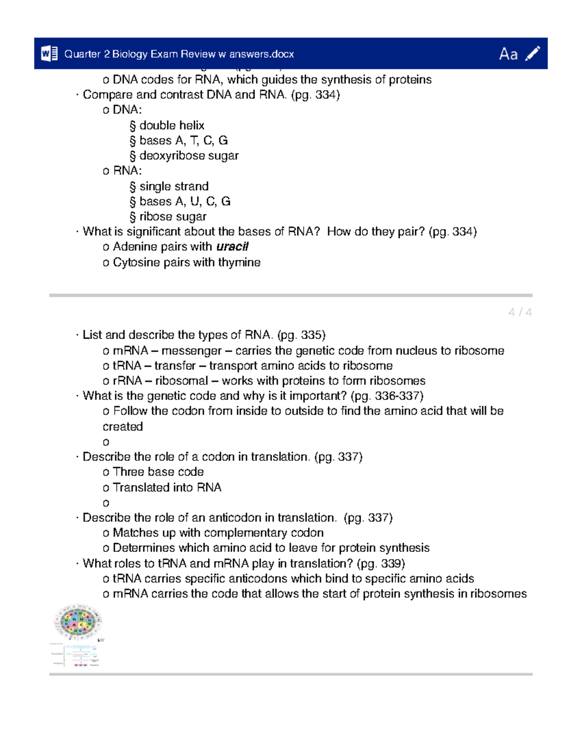 Quarter 2 Biology Exam Review w answers - · Where is the genetic ...