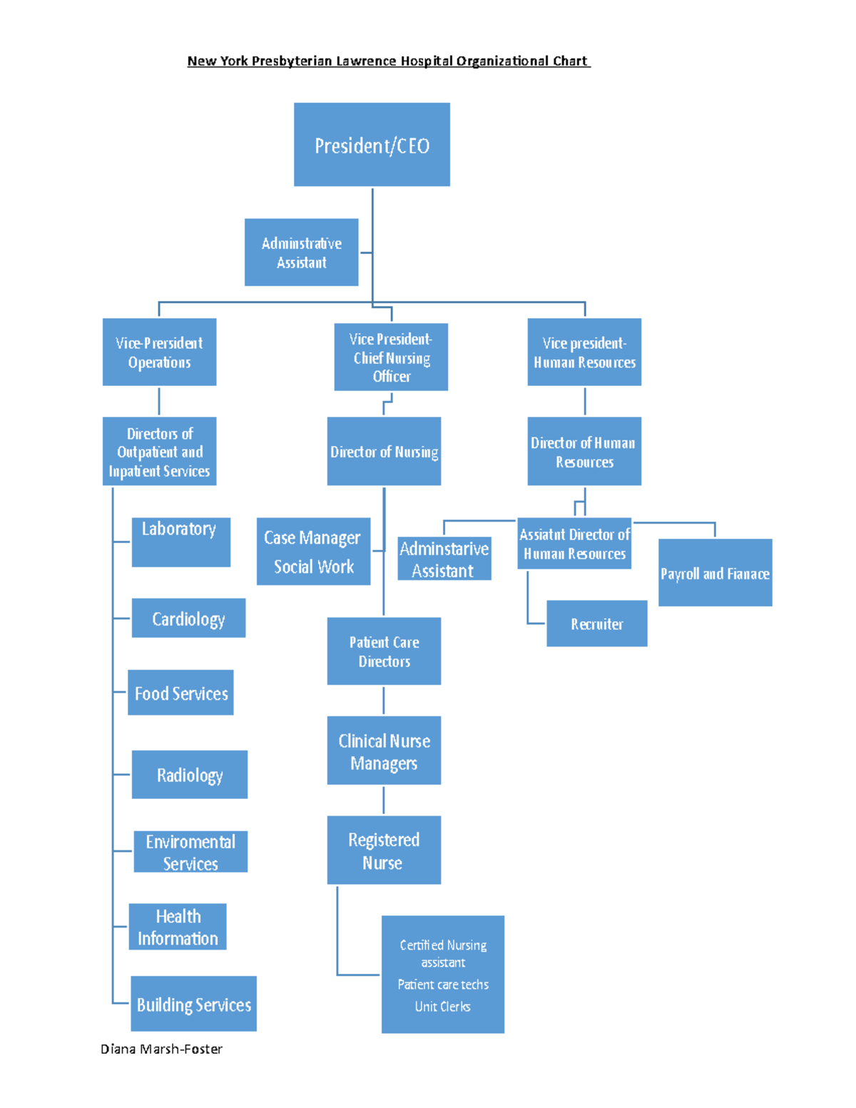 Final Charting - New York Presbyterian Lawrence Hospital Organizational ...