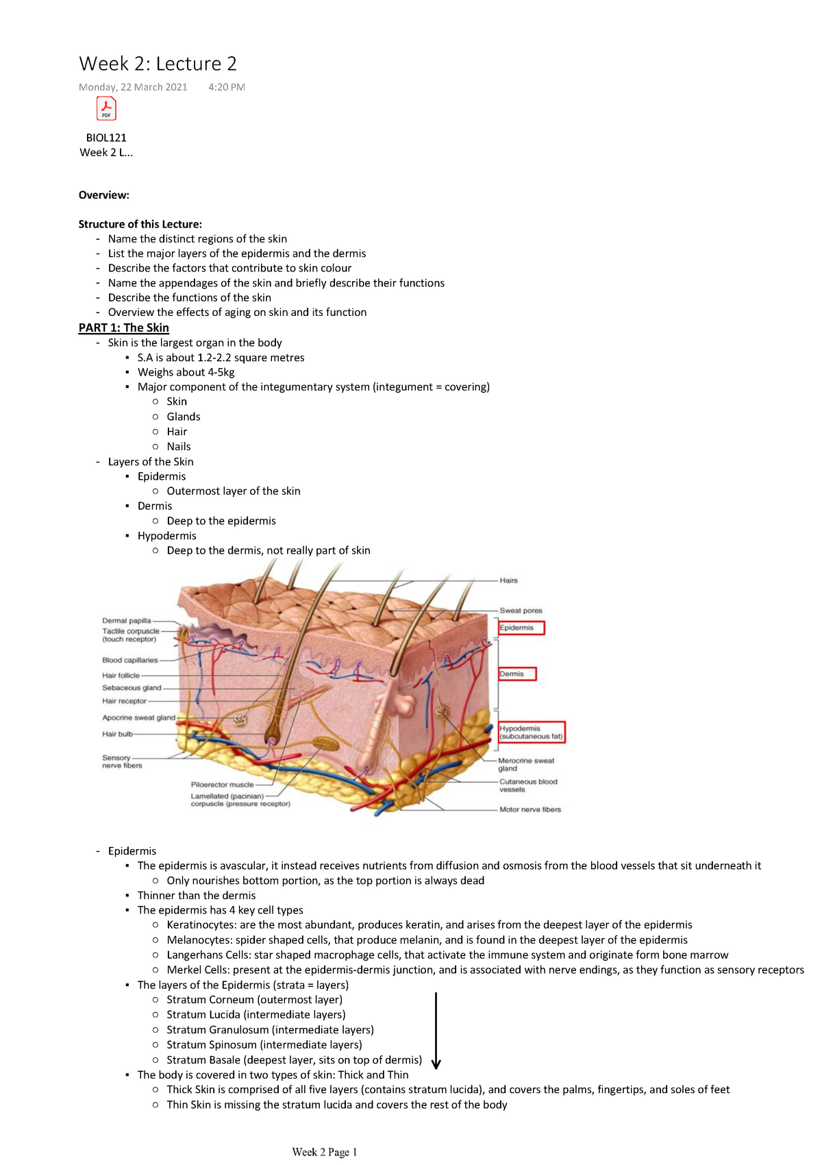 BIO121 Week 2 Lecture 2 - BIOL Week 2 L... Overview: Name the distinct ...