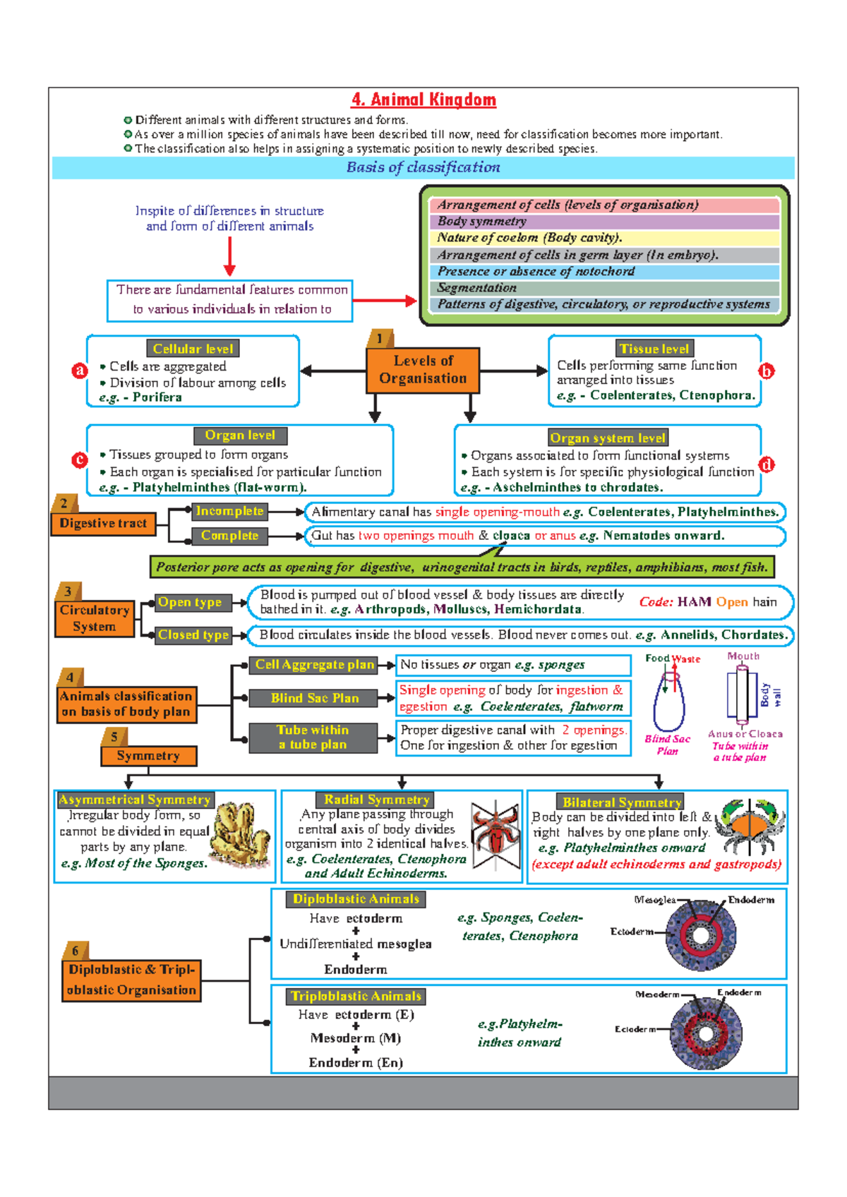 Animal Kingdom Notes - Inspite of differences in structure and form of ...