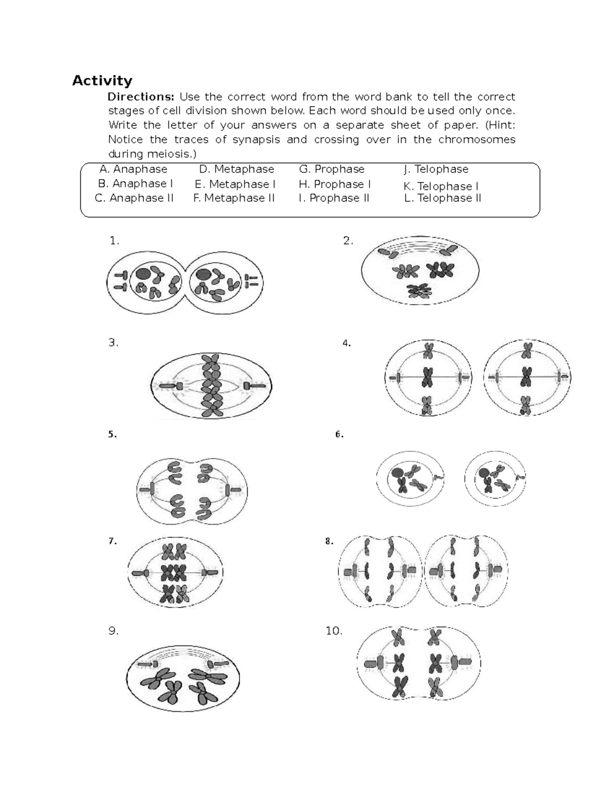 Activity Cellular Reproduction - Activity Directions: Use the correct ...