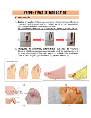 Respuestas Del Examen Y Porque Paciente De A Os Con Glicemia De