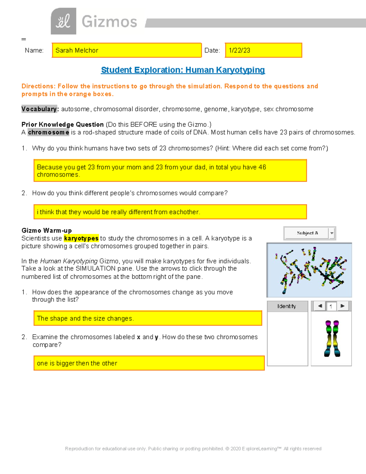 Sarah Melchor - Human Karyotyping SE - = Name: Sarah Melchor Date: 1/22 ...