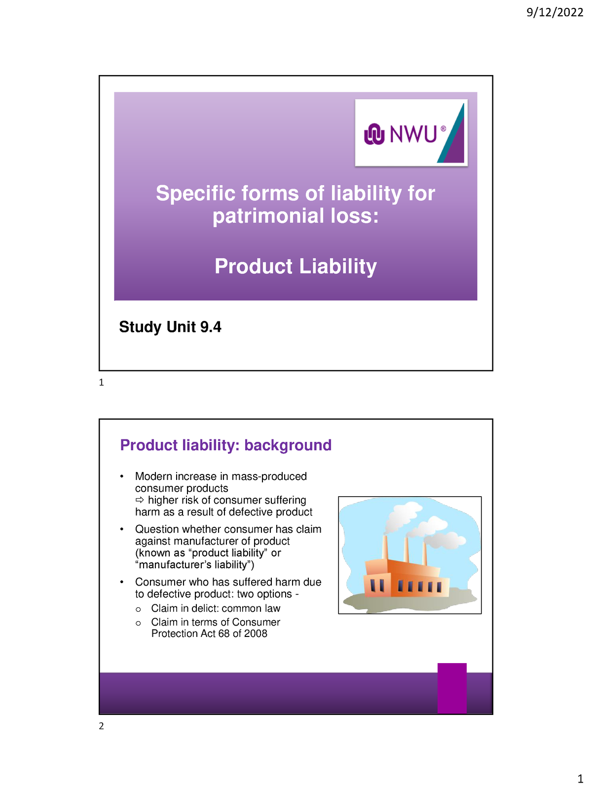 su-le-9-notes-specific-forms-of-liability-for-patrimonial-loss