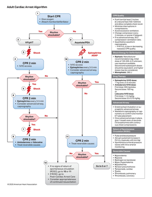 Burns - notes - Burns – an injury caused by exposure to heat, chemicals ...