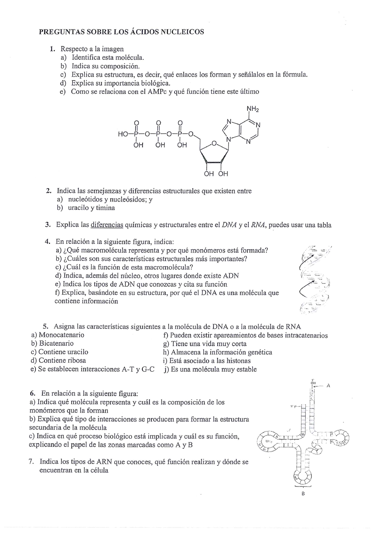 Cidos Nucleicos Pau Son Los Apuntes De La Profe Biolog A Studocu