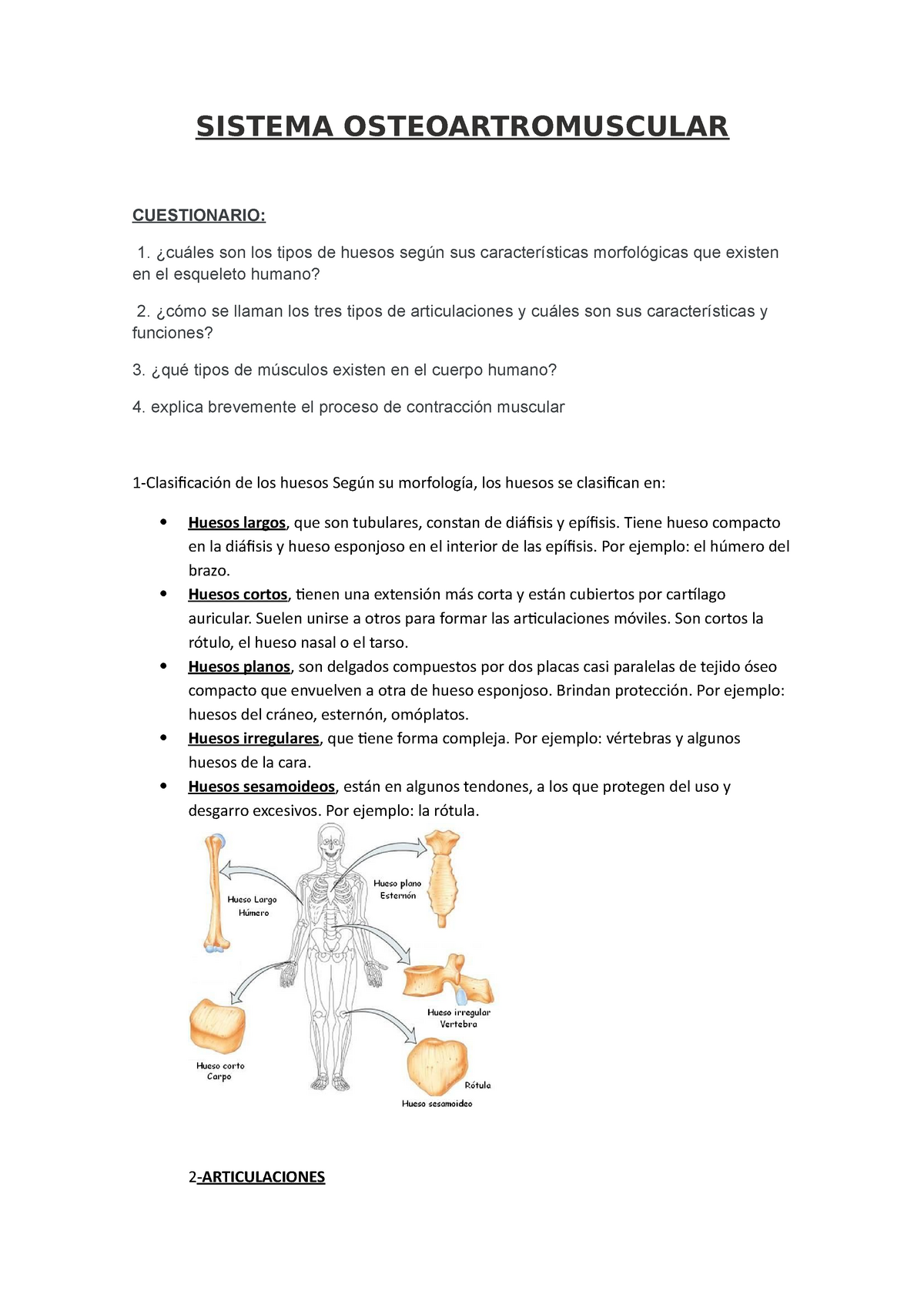 Sistema Osteoartromuscular Sistema Osteoartromuscular Cuestionario 1