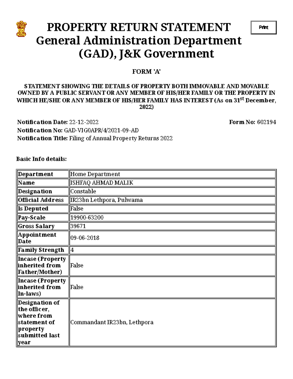 Property Return System - PROPERTY RETURN STATEMENT Print General ...