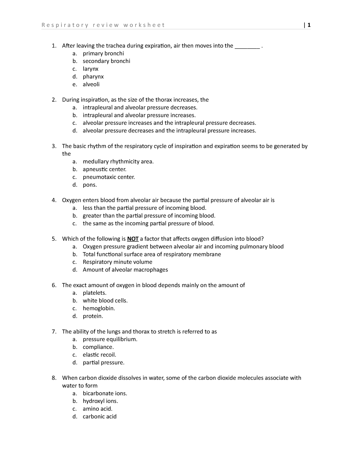 Respiratory review worksheet - After leaving the trachea during ...