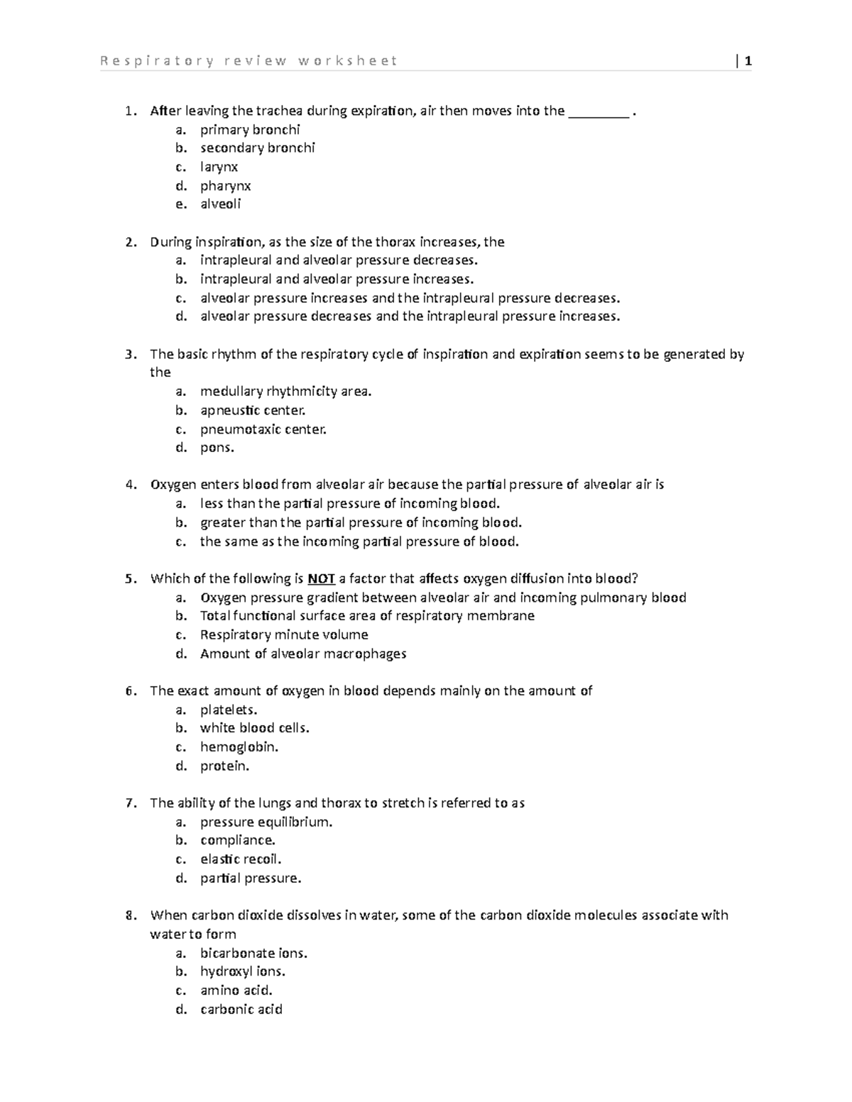 Respiratory review worksheet - After leaving the trachea during ...