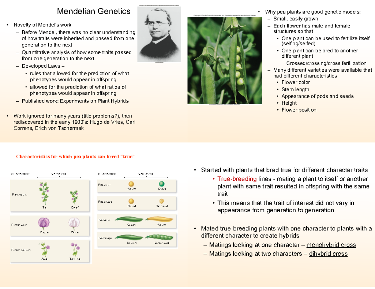 Lecture 14 Mendelian intro Mendelian Novelty of Mendel’s