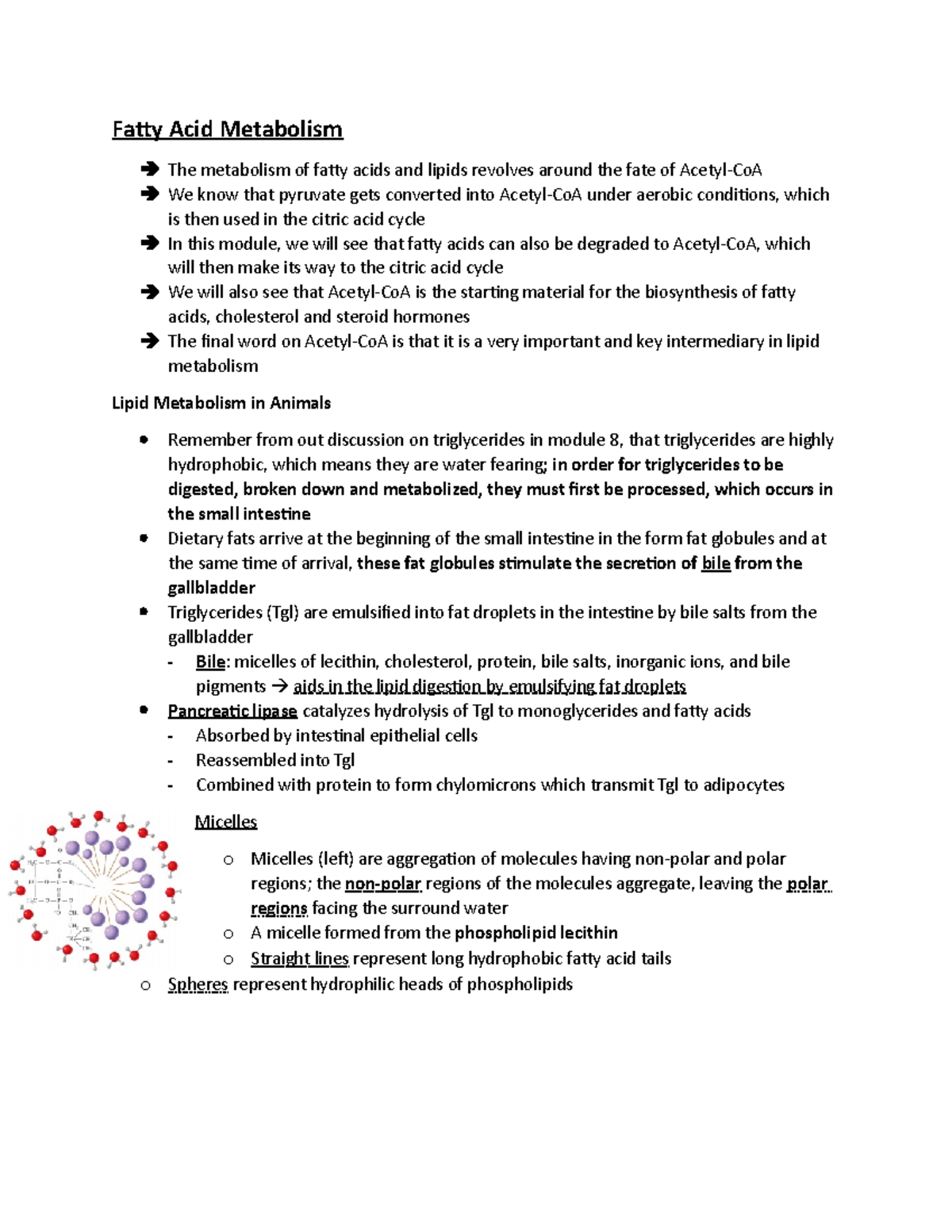 Week15-Orgo211 Notes - Fatty Acid Metabolism The metabolism of fatty ...