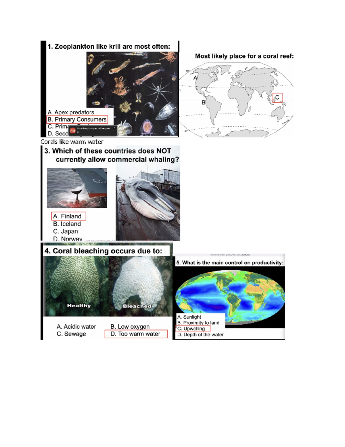 Geos Exam 3 Review - GEOS 212 - Corals like warm water - Studocu