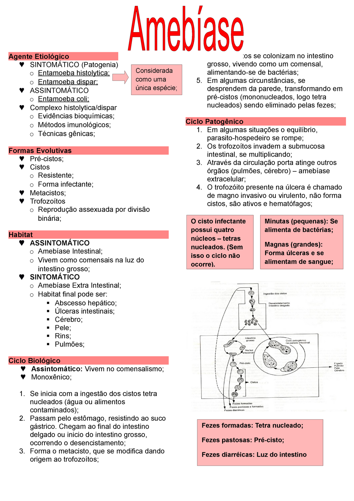 Amebíase As Informações Do Resumo Foram Retiradas Das Anotações Das