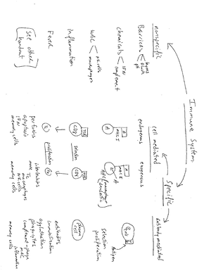 OPPS Reimbursement and Cost Worksheet - Assumption ED Visit MCR CCR 0 ...