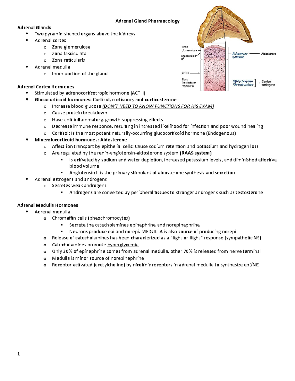 1-29 Adrenal Gland Pharmacology - Adrenal Gland Pharmacology Adrenal ...