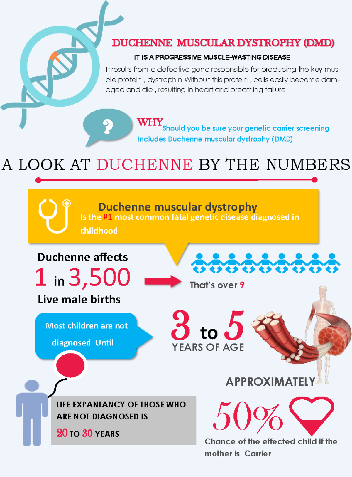 Publication 1 Assignment On Statistics Of Duchene Muscular Dystrophy