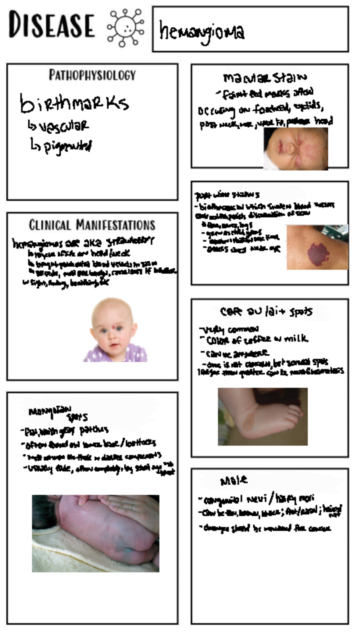 Pathophysiology Integumentary System Diseases And Concept Maps 