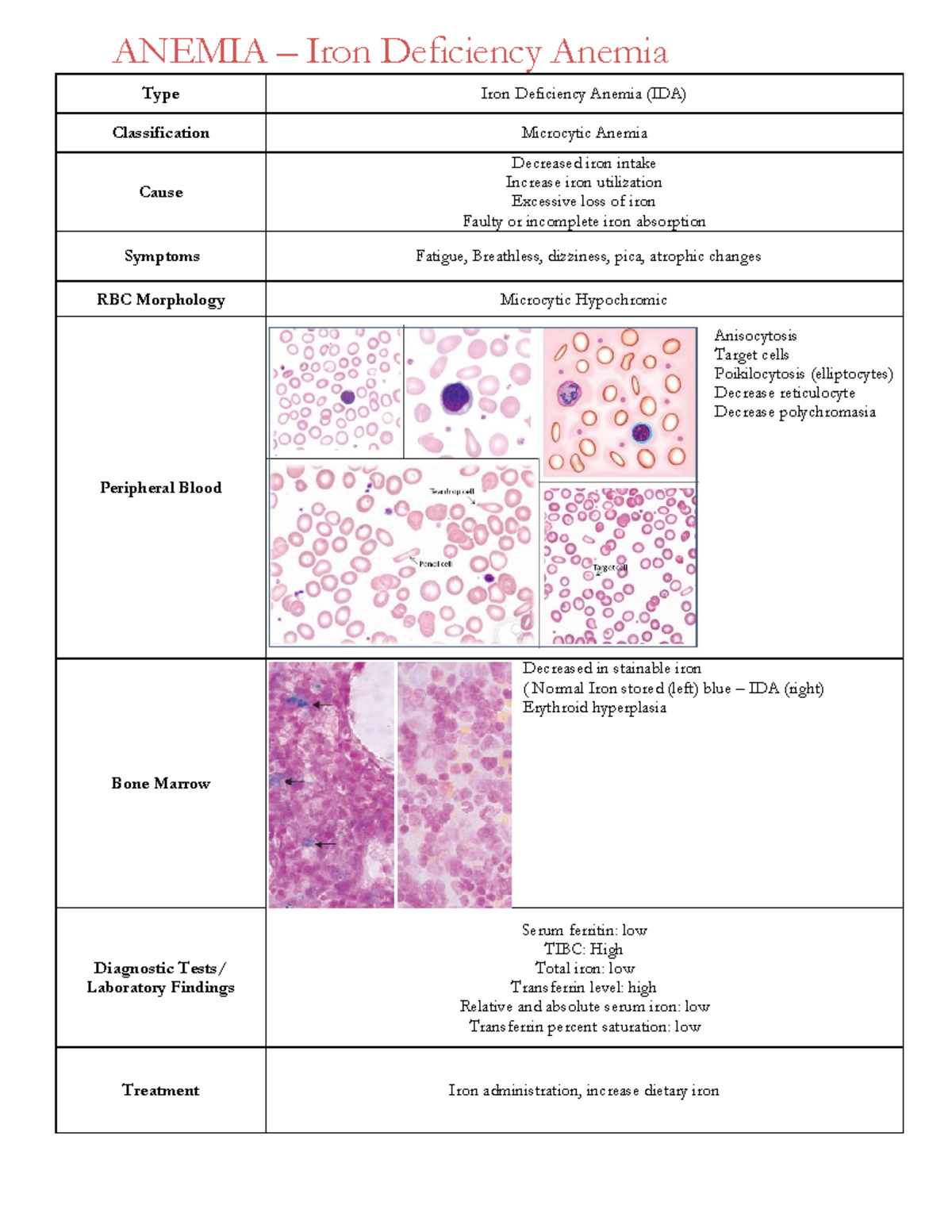 Tudy Manual - Anemias 1 - Warning: TT: undefined function: 32 ANEMIA ...