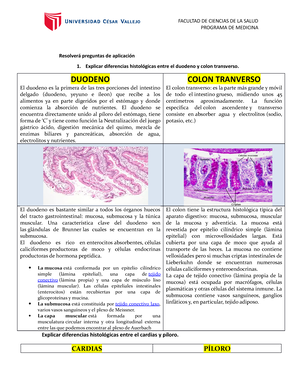 GUIA DE Practica DE Histologia SEM 6 - GUIA 6 A - PROGRAMA DE MEDICINA ...