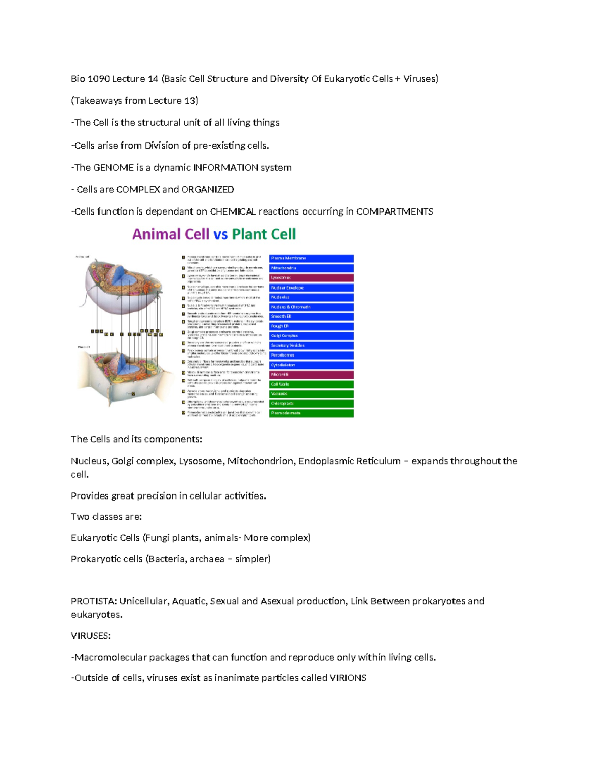 Bio 1090 Lecture 14 - Lec Notes - Bio 1090 Lecture 14 (Basic Cell ...