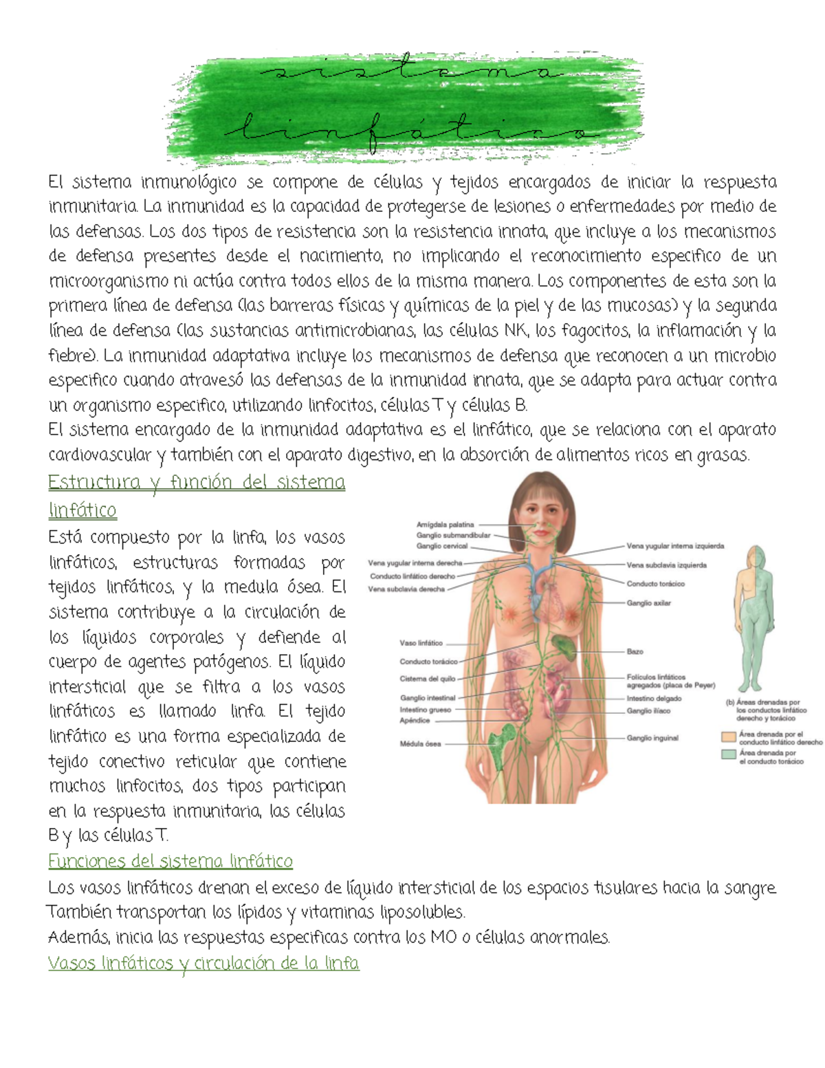 Ciencias Naturales Anatomia Y Ficiologia - Thumb 1200 1553 