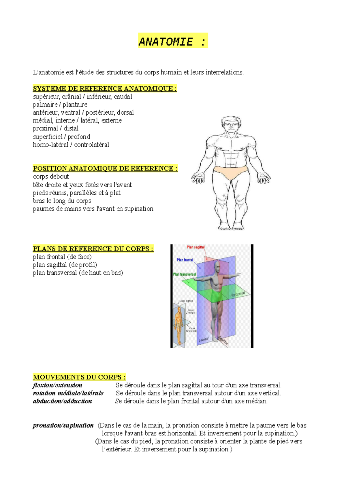 Anatomie Introduction - ANATOMIE : L'anatomie Est L'étude Des ...