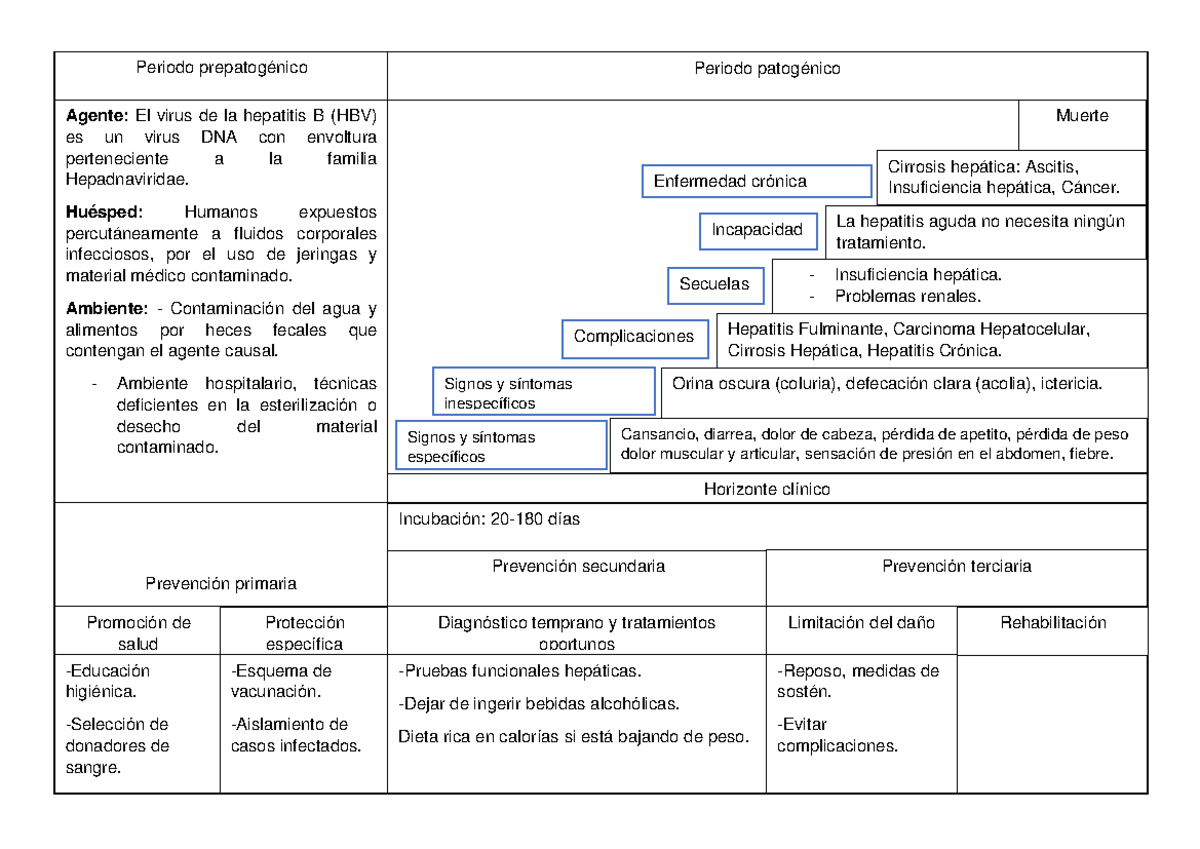 HNE Y Resumen De Hepatitis B - Periodo Prepatogénico Periodo Patogénico ...