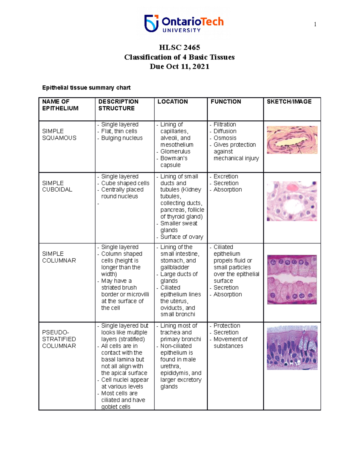 2021_4 Basic Tissues Assignment - HLSC 2465 Classification of 4 Basic ...