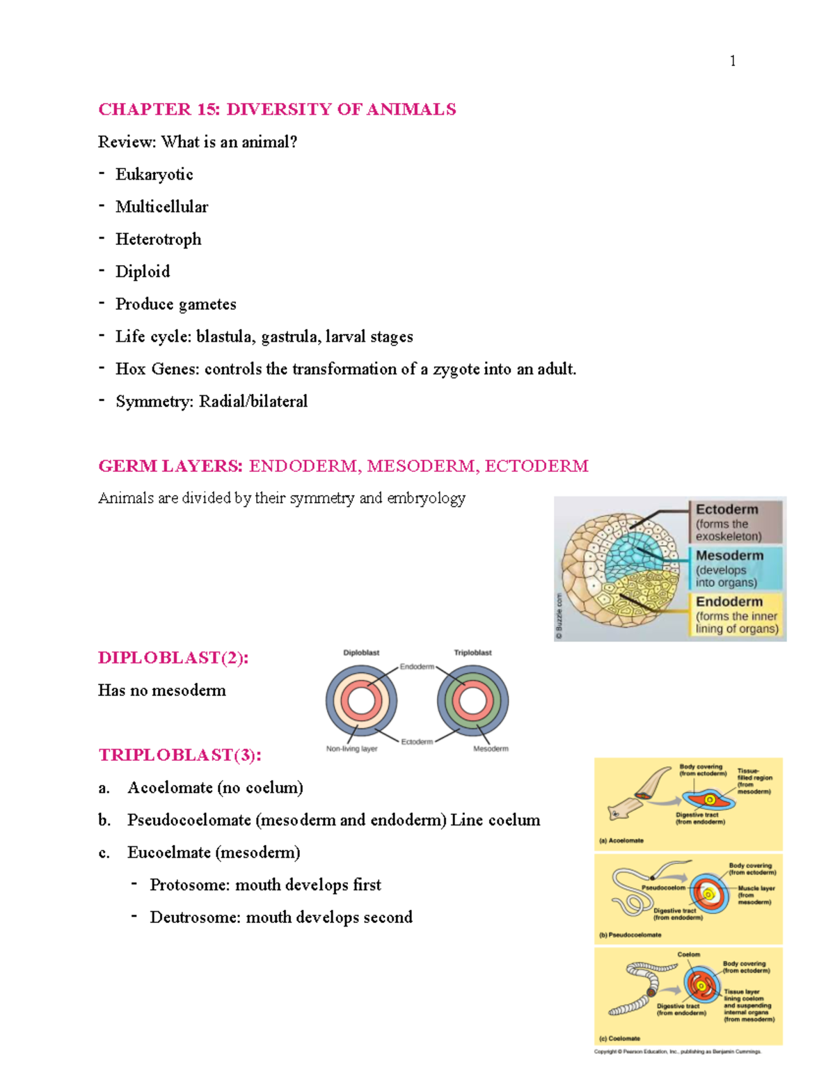 Chapter 15 Pictures included. Information and terms on germ layers